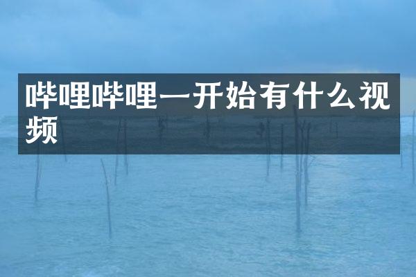 哔哩哔哩一开始有什么视频