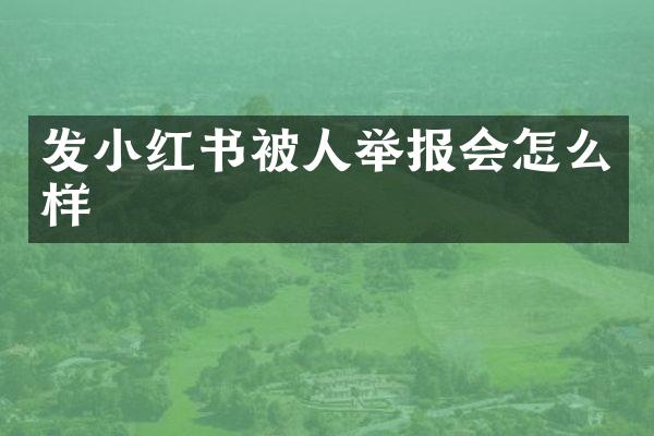 发小红书被人举报会怎么样