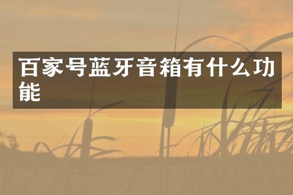 百家号蓝牙音箱有什么功能