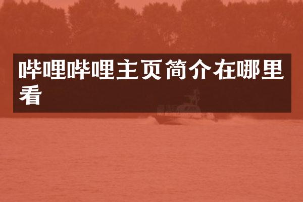 哔哩哔哩主页简介在哪里看