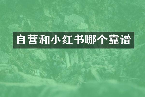 自营和小红书哪个靠谱