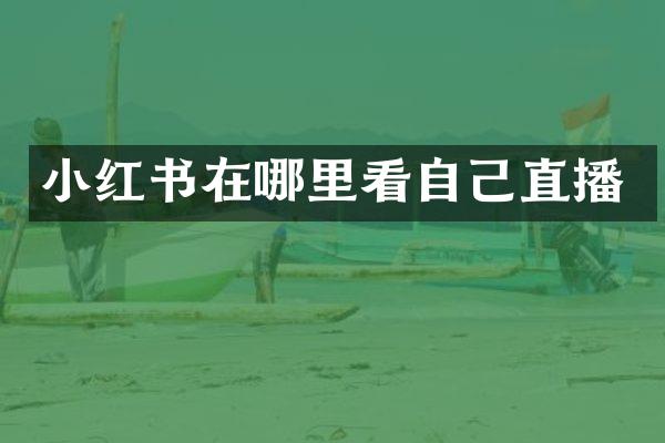 小红书在哪里看自己直播