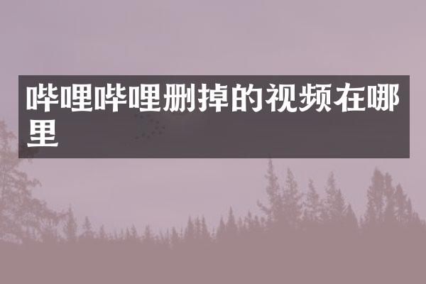 哔哩哔哩删掉的视频在哪里