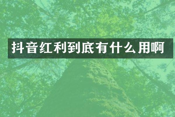 抖音红利到底有什么用啊