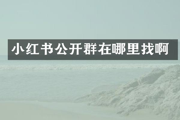 小红书公开群在哪里找啊