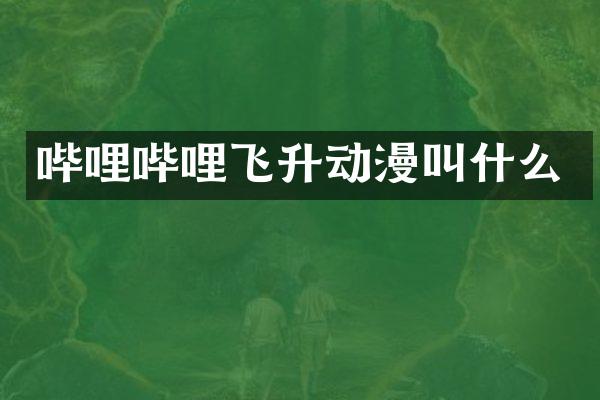 哔哩哔哩飞升动漫叫什么