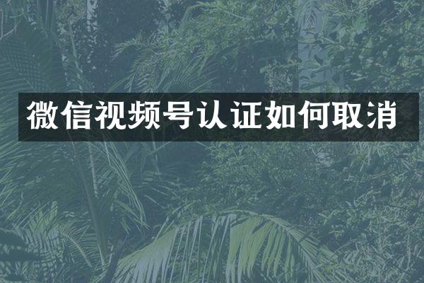微信视频号认证如何取消