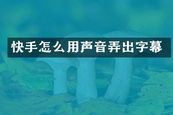 快手怎么用声音弄出字幕