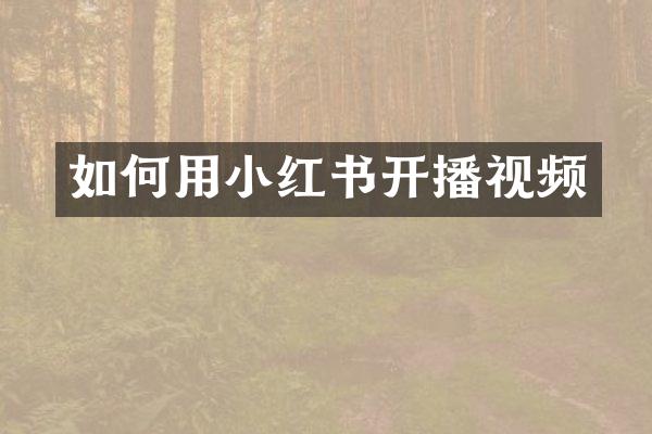 如何用小红书开播视频