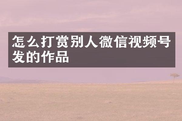 怎么打赏别人微信视频号发的作品