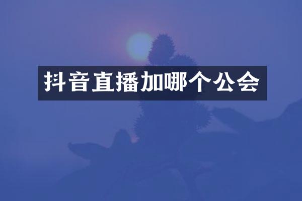 抖音直播加哪个公会