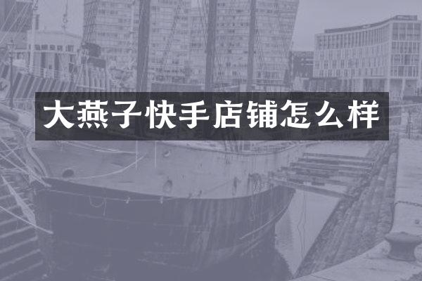 大燕子快手店铺怎么样