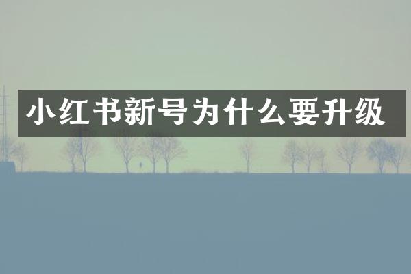 小红书新号为什么要升级