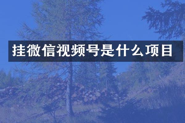 挂微信视频号是什么项目