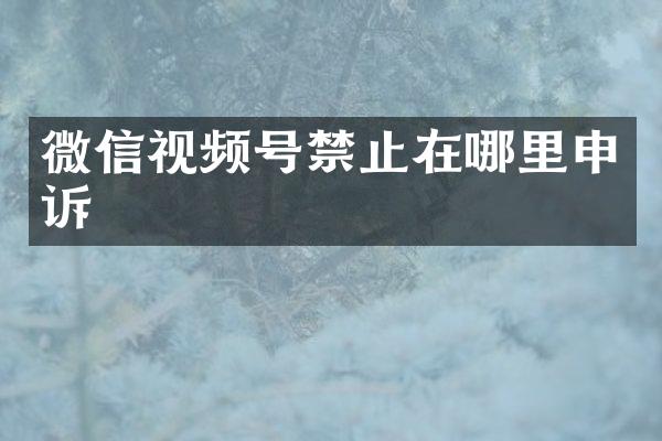 微信视频号禁止在哪里申诉