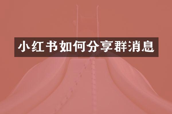 小红书如何分享群消息