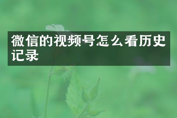 微信的视频号怎么看历史记录