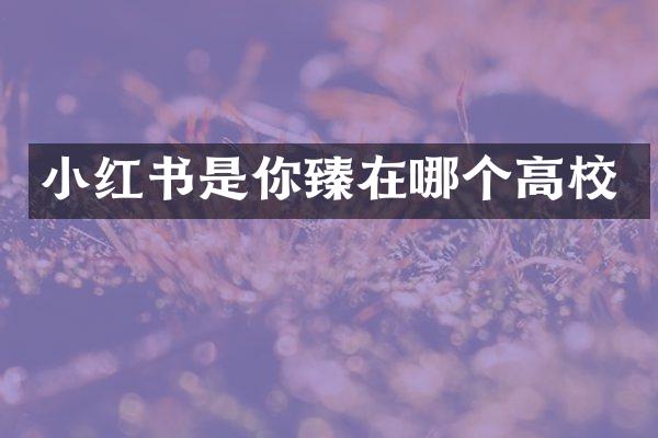 小红书是你臻在哪个高校