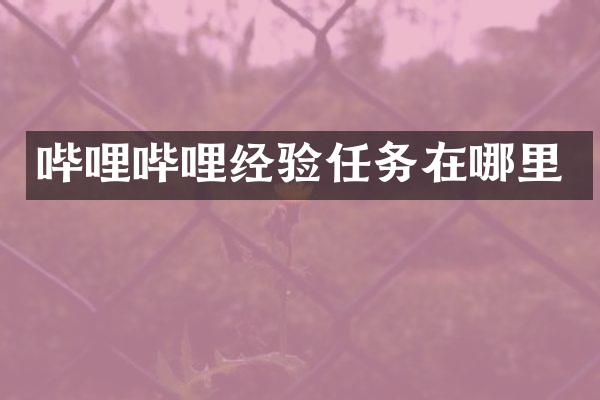 哔哩哔哩经验任务在哪里