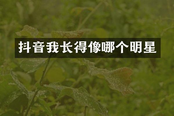抖音我长得像哪个明星