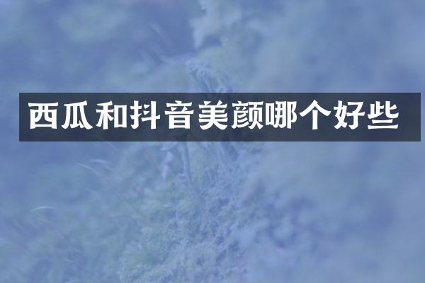 西瓜和抖音美颜哪个好些