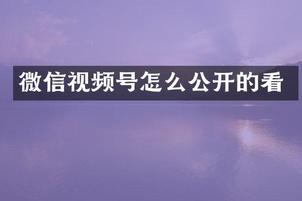 微信视频号怎么公开的看