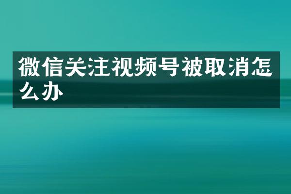 微信关注视频号被取消怎么办