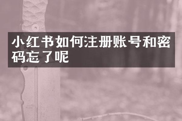 小红书如何注册账号和密码忘了呢