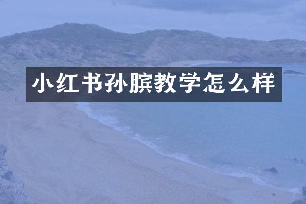 小红书孙膑教学怎么样