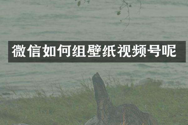 微信如何组壁纸视频号呢