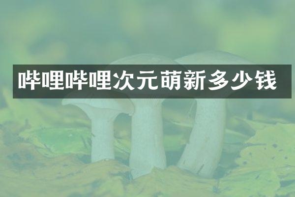 哔哩哔哩次元萌新多少钱