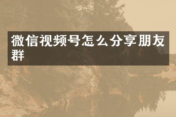 微信视频号怎么分享朋友群