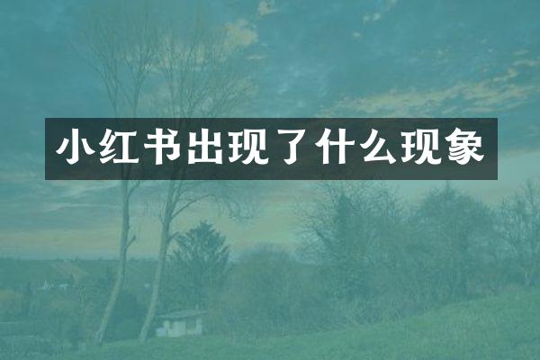 小红书出现了什么现象