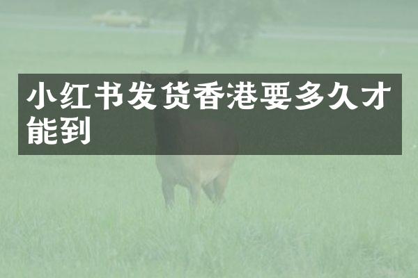 小红书发货香港要多久才能到