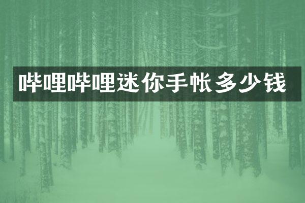 哔哩哔哩迷你手帐多少钱