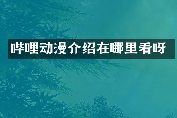 哔哩动漫介绍在哪里看呀