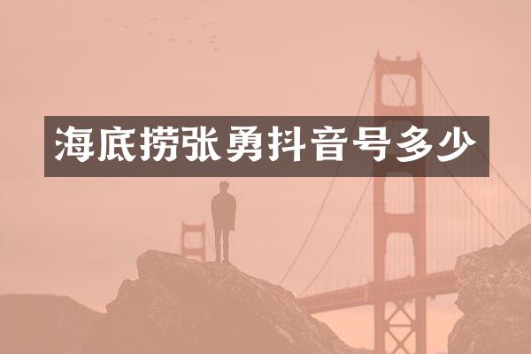 海底捞张勇抖音号多少