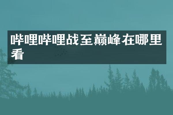哔哩哔哩战至巅峰在哪里看