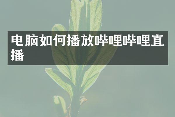 电脑如何播放哔哩哔哩直播