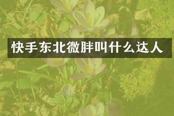 快手东北微胖叫什么达人