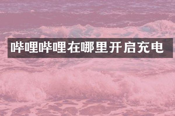 哔哩哔哩在哪里开启充电