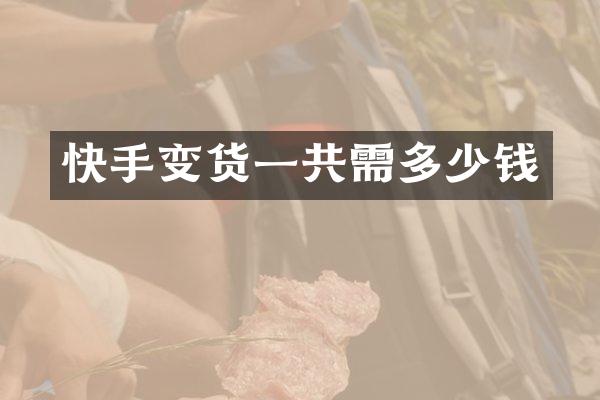 快手变货一共需多少钱