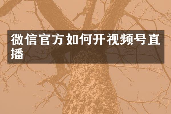 微信官方如何开视频号直播