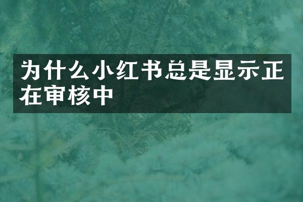为什么小红书总是显示正在审核中