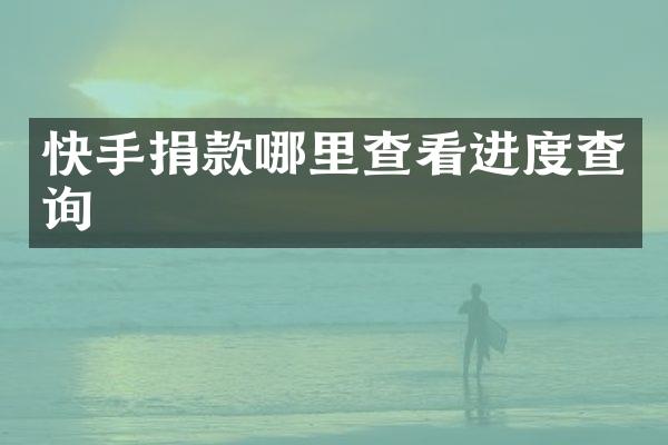 快手捐款哪里查看进度查询