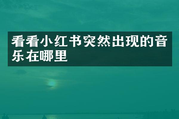 看看小红书突然出现的音乐在哪里