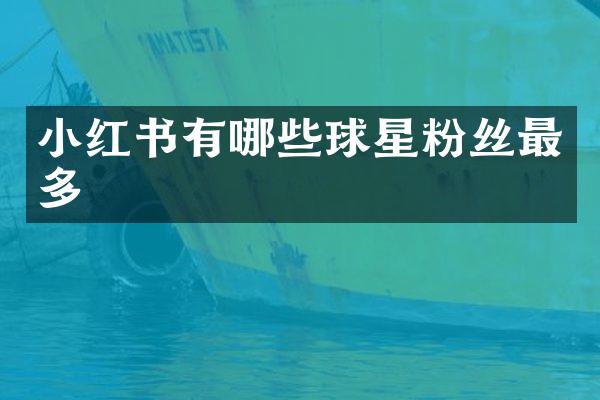 小红书有哪些球星粉丝最多