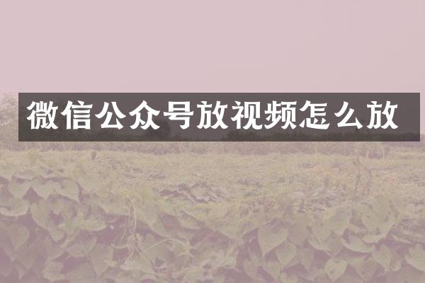 微信公众号放视频怎么放