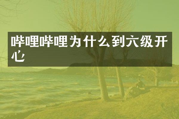 哔哩哔哩为什么到六级开心