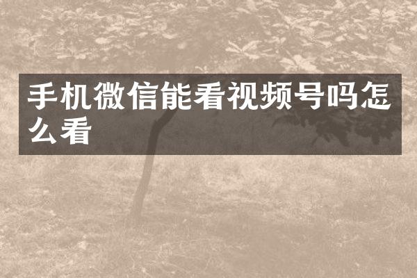 手机微信能看视频号吗怎么看